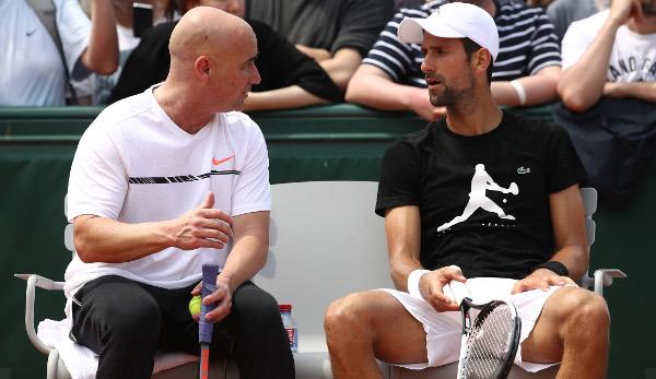 ATP: Djokovic: New team takes shape - Agassi remains head coach