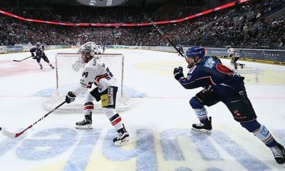 DEL: Adler Mannheim for the time being without Raedeke and Carle