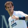 ATP: Murray: Talent alone is not enough