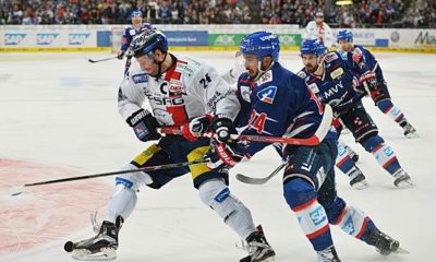 Ice hockey: DEL: Polar bears push Nuremberg from the top