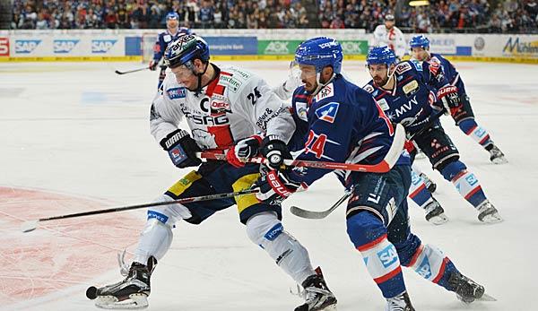 Ice hockey: DEL: Polar bears push Nuremberg from the top