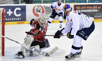 Ice hockey: Champions Hockey League: Munich in the last 16 against Bern