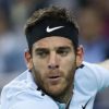 ATP: Juan Martin del Potro wants to proceed according to plan