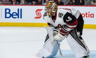 DEL: Replacement for Wesslau: Sharks pick up former NHL goalkeeper Peters