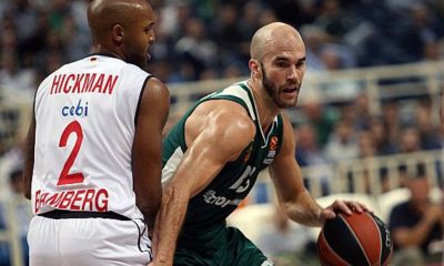 EuroLeague: Brose Bamberg also loses against Panathinaikos Athens