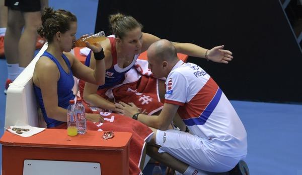 WTA: Karolina Pliskova steals the coach from Barbora Strycova