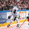 Ice Hockey: DEL: Straubing hires coach Pokel