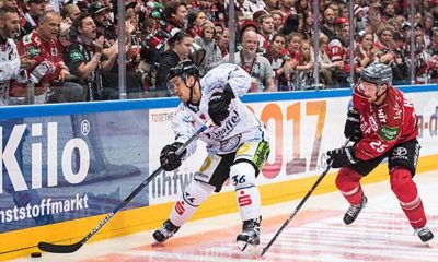 Ice Hockey: DEL: Straubing hires coach Pokel