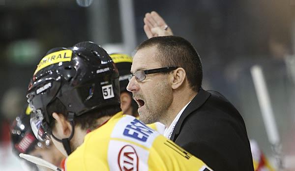 DEL: ERC Ingolstadt separates from coach Samuelsson