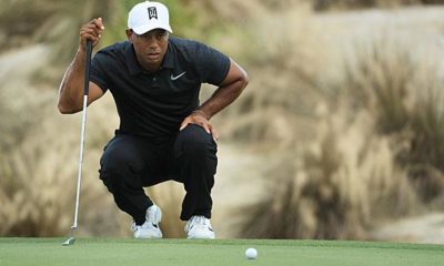 Golf: Tiger Woods celebrates promising comeback in Albany