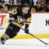 NHL: NHL victories for Kühnhackl, Rieder and Draisaitl