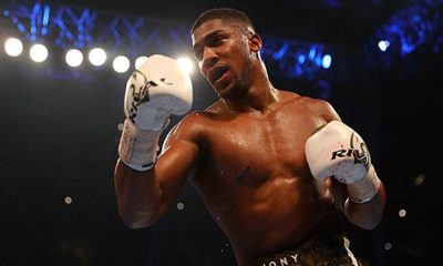 Boxing: Anthony Joshua about the fight against Manuel Charr:"Why not?"
