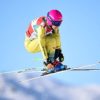 Freestyle Skiing: Zacher again second