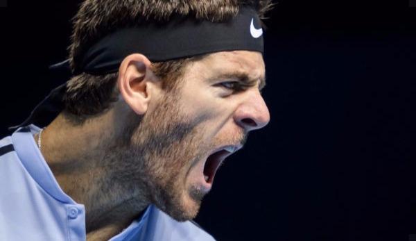 ATP: Del Potro on Australia's heat, motivation problems and goals