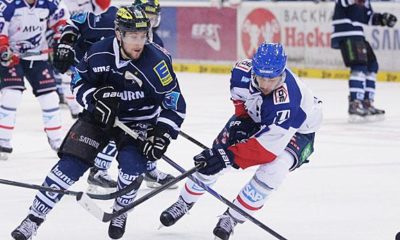 Ice Hockey: DEL: Brandon Buck leaves the ERC Ingolstadt with immediate effect