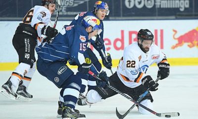 Ice Hockey: DEL: Ice Tigers win top game - Red Bull Munich continues to lead the standings