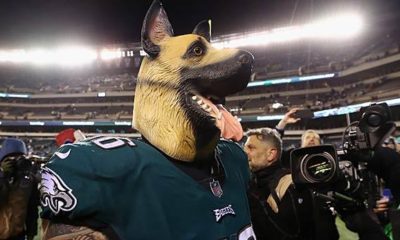 NFL: Underdogs!