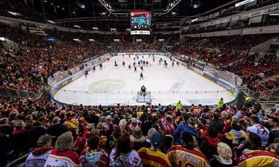 Ice hockey: Pellegrims leaves DEG and becomes co-trainer in Mannheim