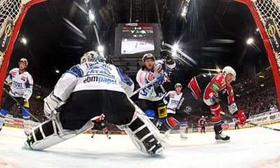 Ice hockey: DEL: Cologne sharks defeat Schwenninger Wild Wings and hope for playoffs