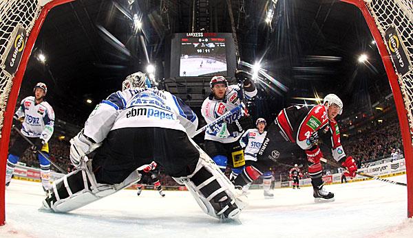 Ice hockey: DEL: Cologne sharks defeat Schwenninger Wild Wings and hope for playoffs