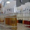 Sports policy: IOC "very concerned" about faulty doping containers