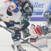 Ice hockey: grizzlies tear the cops apart