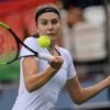 Fed Cup: Lottner loses - decision made in doubles