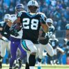 NFL: Panthers dismiss Running Back Jonathan Stewart