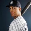 MLB:"Evil Empire" - Yankees owner likes new Yankees status:"People again worried"