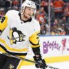 NHL: Setback for Champion Kühnhackl, Grubauer flawless