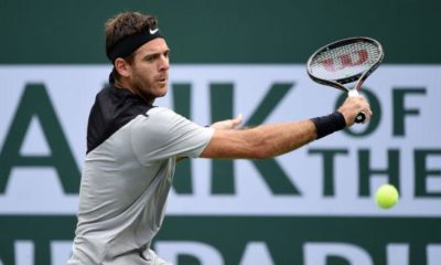 ATP: Juan Martin del Potro: More variable than ever before