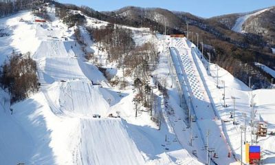 Freestyle skiing: For sexual harassment: Korean Olympic starters banned for life