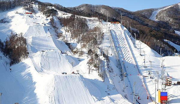 Freestyle skiing: For sexual harassment: Korean Olympic starters banned for life