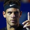 ATP: Final against Federer: "Delpo" wants to crown his second career