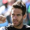 ATP: Miami: Del Potro continues its triumphal march - Dimitrov fails again