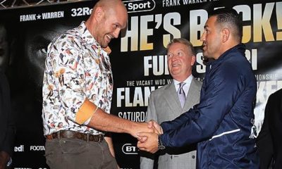 Boxing: Fury humbled before comeback against Seferi: "Able to knock me out