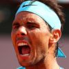 French Open: Nadal leaves del Potro no chance - on Sunday final against Thiem