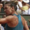 French Open: Chris Evert raves about Simona Halep: "The Heart of a Lioness