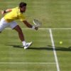 ATP: Novak Djokovic gets wildcard for grass court tournament in Queen's