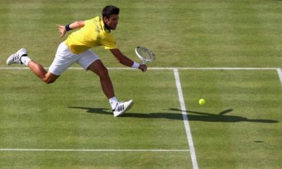 ATP: Novak Djokovic gets wildcard for grass court tournament in Queen's