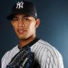 MLB: Yankees find internal solution as Tanaka replacement