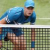 ATP: Halle: Molleker out too - only two Germans in the round of 16