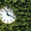 Wimbledon: No more tradition! Is the shot clock coming in 2019?