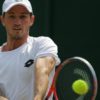 Wimbledon: Dream run: Dennis Novak relies on the support of the "Dominator".