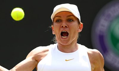 Wimbledon: Halep also fails: Next favourite fall by Hsieh Su-Wei