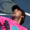 ATP: Brothers duel in Washington? Alexander and Mischa Zverev are missing only one victory