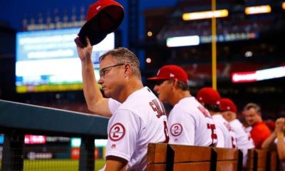 MLB: Cardinals name new manager