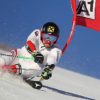Alpine Skiing: men's boss Puelacher von Hirscher impressed