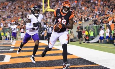 NFL: Explosive first half! Bengals take over the division