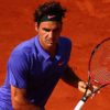 ATP: Roger Federer thinks about sand court comeback